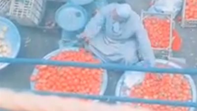 «طماطم كابونجو كاسونجو»..آخر تقاليع احتفالات الزمالكاوية بالقمة 116 (فيديو)