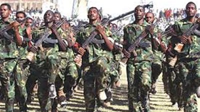 عودة مقاتلين من الحركات المتمردة بكردفان لصفوف الجيش السوداني