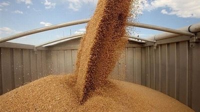 نقل 1200 طن قمح من الإسكندرية للقاهرة نهريا