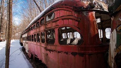 بالصور.. اكتشاف 