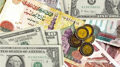 هانى برزي: تحرير سعر الصرف جعل الاقتصاد يسير على الطريق الصحيح