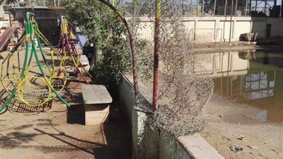 محضر شرطة ضد جيران مركز شباب بالقليوبية بسبب الصرف الصحي