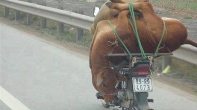 مش عايز أعرف ليه.. بس عمل كده إزاي ؟!