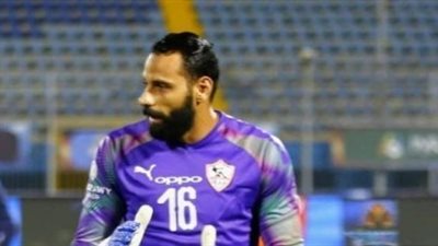 أمير مرتضى: 