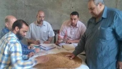 «تموين بني سويف»: الشون والصوامع تتسلم 30 ألف طن قمح