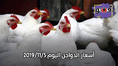 بورصة الدواجن العمومية | أسعار الدواجن اليوم 2019/11/5