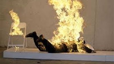 3 سنوات حبس لعاشق شرع في قتل محبوبته وأشعل النار في نفسه