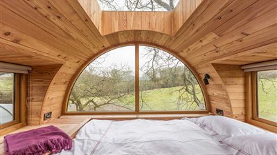 شاهد أول منزل على شكل شجرة في بريطانيا (صور)