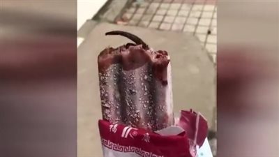 فتاة تعثر على فأر مجمد داخل قطعة آيس كريم (فيديو)