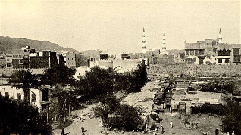 فيتو