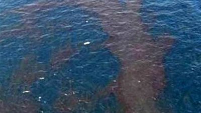 السيطرة على بقعة زيت في ميناء الإسكندرية