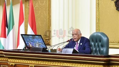 علي عبد العال: القضية الفلسطينية كشفت فشل النظام الدولي