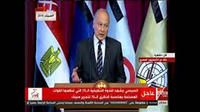 أبو الغيط يقدم التحية لجيل وشهداء نصر أكتوبر