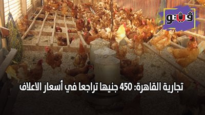 تجارية القاهرة: 450 جنيها تراجعا في أسعار الأعلاف