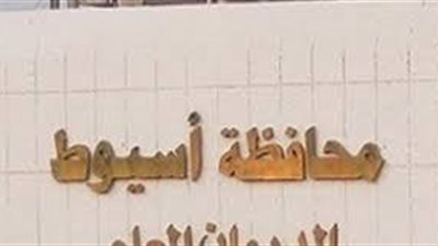 حي شرق أسيوط: زراعة 2000 شجرة «فيكس» بالشوارع والقطاعات