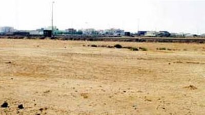 البرلمان يشكل لجنة لبحث مشكلة بوار الأراضي بالوادى الجديد