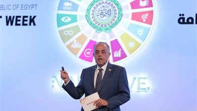 خبراء: التسويق الإلكتروني والمصريون 