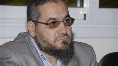 إخلاء سبيل صفوت عبدالغنى وعلاء أبوالنصر في التحريض على العنف