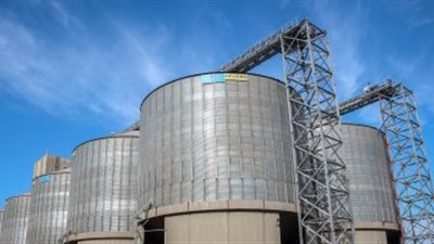 توريد 126 ألف طن قمح لصوامع وشون البحيرة