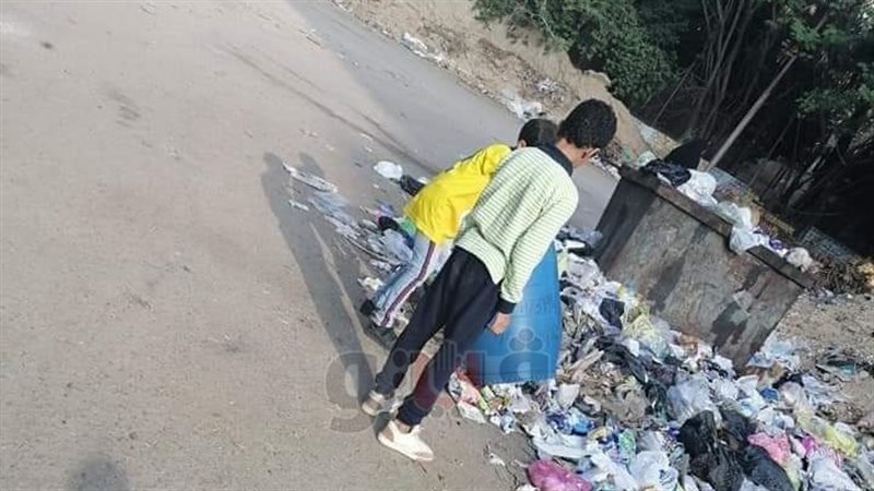 فيتو