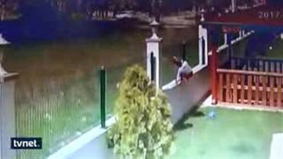 بالفيديو.. كلاب تسحل طفلا حاول الهروب من منزل أسرته