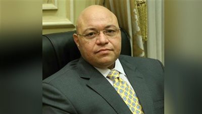 برلماني: مصر تحارب الإرهاب نيابة عن العالم