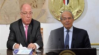 وزيرا التنمية المحلية والثقافة يلتقيان نخبة المثقفين والأدباء.. اليوم