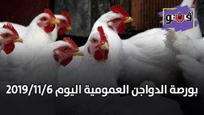 بورصة الدواجن العمومية | أسعار الدواجن اليوم 2019/11/6