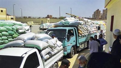توريد 37 ألف و430 طن قمح بشون وصوامع قنا