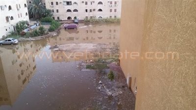 بالصور.. مياه الصرف الصحي تغرق عمارات التأمين الأهلية بأسوان