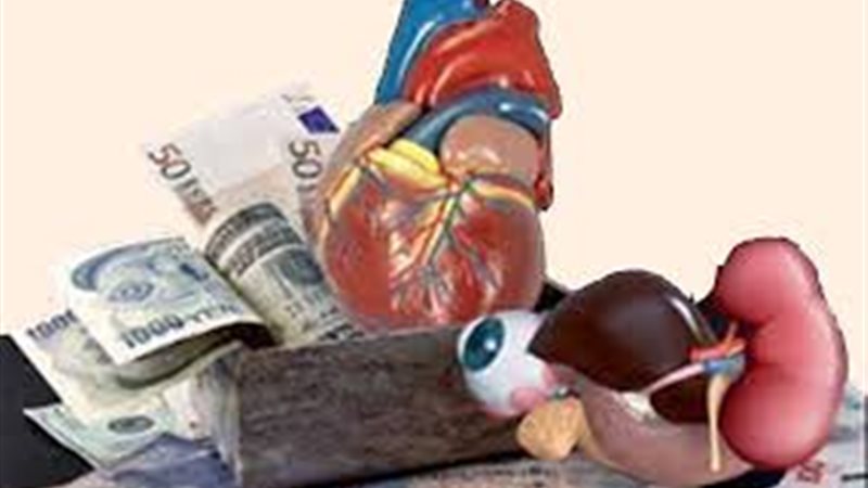 تجارة أعضاء بشرية
