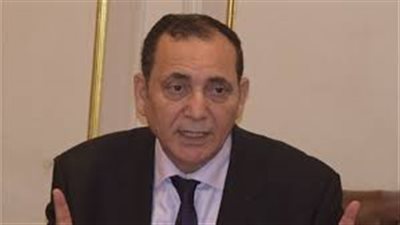 الزيني: دخول طاقات إنتاجية جديدة في صناعة الحديد يقضي على الاستيراد