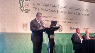 شاكر: مشاريع الربط الكهربائي تدعم الأمن بين الدول والاستقرار السياسي