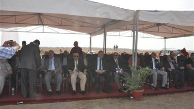 الدالي يشهد مهرجانا للمظلات والرياضات الجوية أمام أهرامات الجيزة (صور)