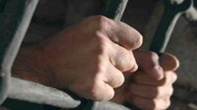 حبس صياد سرق كلب صديقه بالغردقة