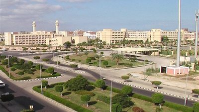 ورشة عمل «إدارة المخاطر لتطوير شركتك» في دمياط