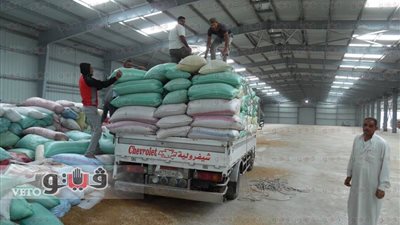 بالصور.. رئيسة مدينة الحامول تتفقد هنجر القمح بكوم صيفر