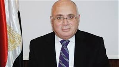 الطباخ: منع استيراد الأقطان كارثة على صناعة المفروشات