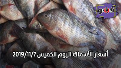 اسعار الأسماك اليوم الخميس 2019/11/7.. وكيلو البلطي بـ30 جنيها