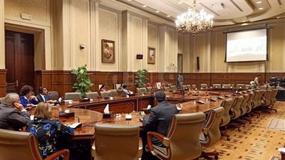 لأول مرة في تاريخ البرلمان.. بحث العلاقات المصرية النيوزلندية بالفيديو كونفرانس