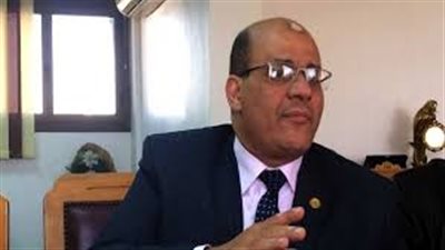 برلمانى يطالب بزيادة الاستثمارات لغزو الصحراء