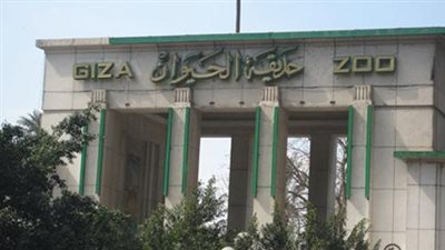 انتقادات واسعة لأحوال حديقة الحيوان.. برلمانية تتقدم بطلب إحاطة «الإهمال أدى لنفوق الحيوانات».. شيرين رضا تناشد محافظ الجيزة للتدخل.. الجندي: مراحيض عامة.. والزراعة: نتعرض لهجمة شرسة