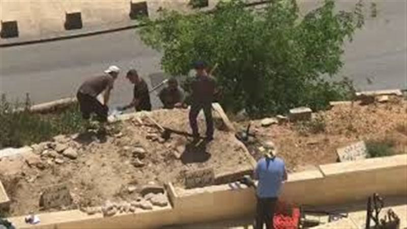 فيتو