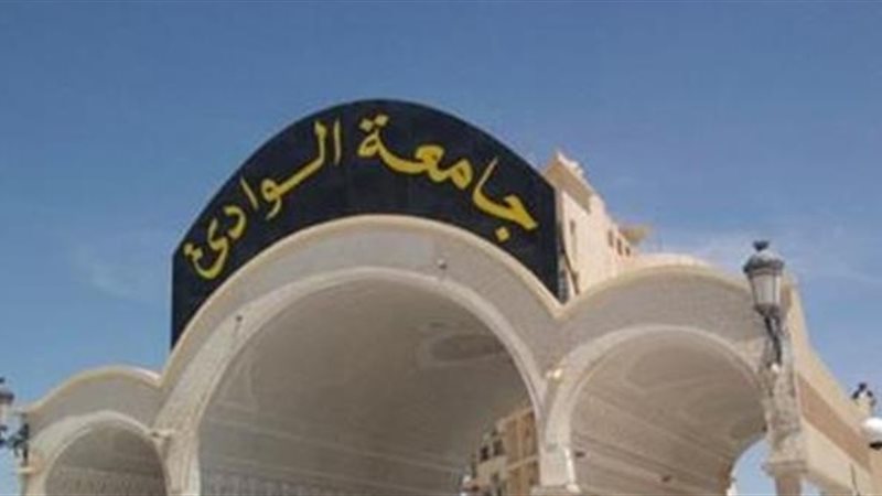 فيتو