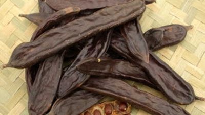 «الخروب» صيدلية منزلية لأمراض المعدة وتنشيط وظائف الكلى