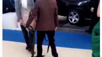 بالفيديو.. القبض على فنان استعرض نفسه عاريا داخل صندوق