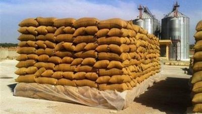 توريد 46.6 ألف طن قمح لشون وصوامع البحيرة