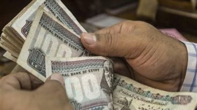 ورشة عمل للتوعية بحساب تطبيق الحد الأدنى للأجور بمحافظة الجيزة