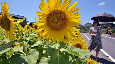 بالصور.. ظاهرة 