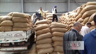 بالفيديو.. توريد 5580 طن قمح لشون وهناجر القمح بدمياط